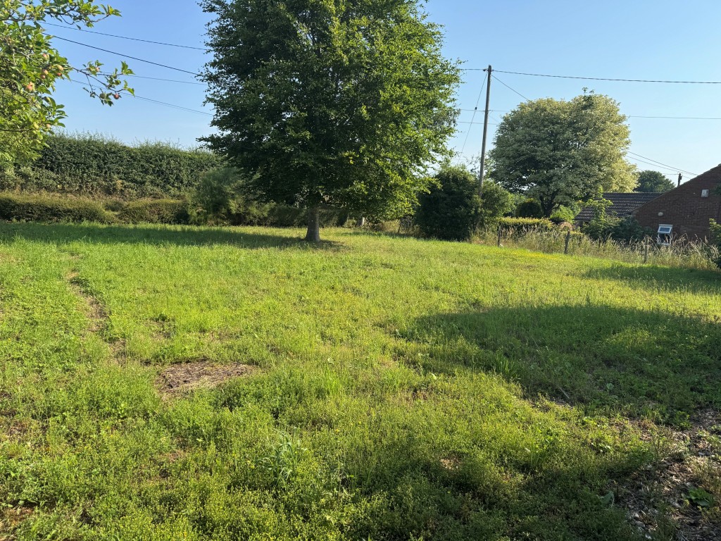 Lot: 103 - FREEHOLD SITE WITH FUTURE POTENTIAL - Alternative view of plot looking towards the road